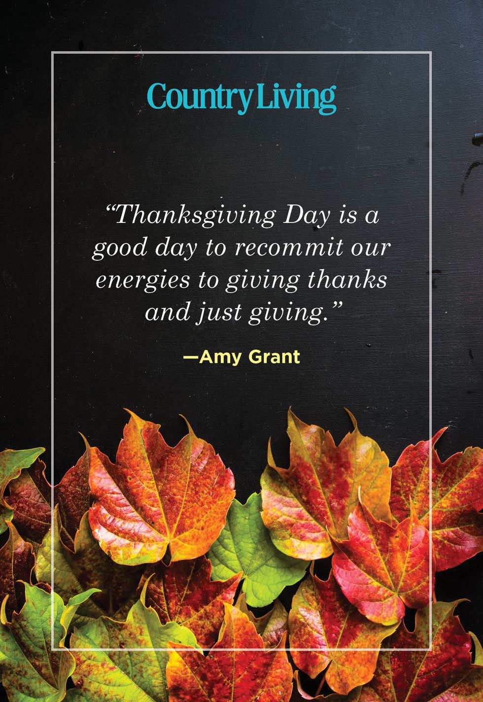 thanksgiving quote by amy grant on dark background with colorful autumn leaves