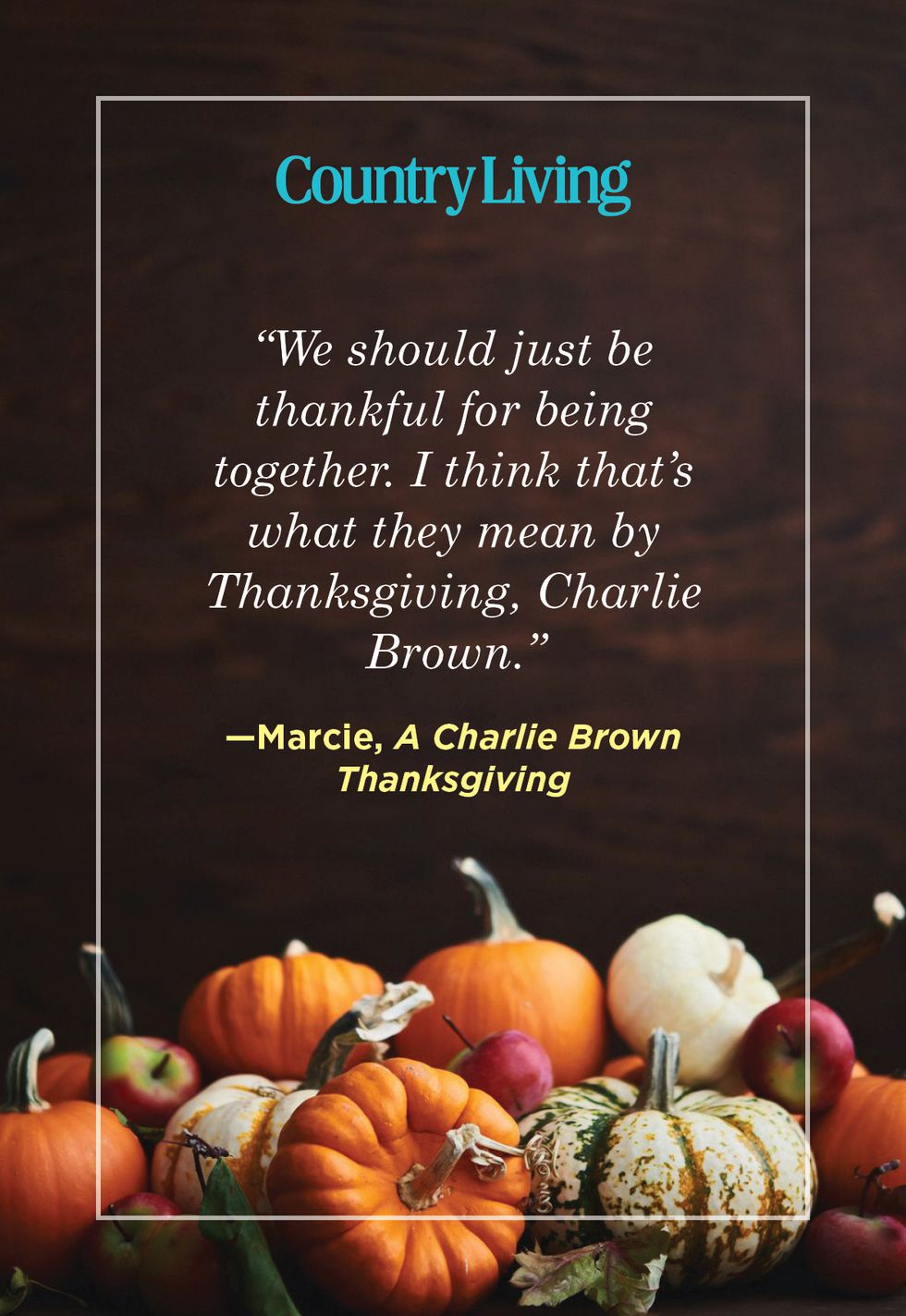 charlie brown thanksgiving quote on dark backgroud pictured with large collection of different pumpkin varieties