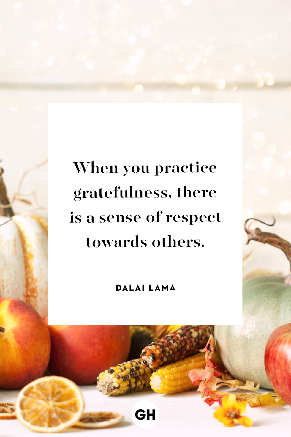 thanksgiving quotes dalai lama