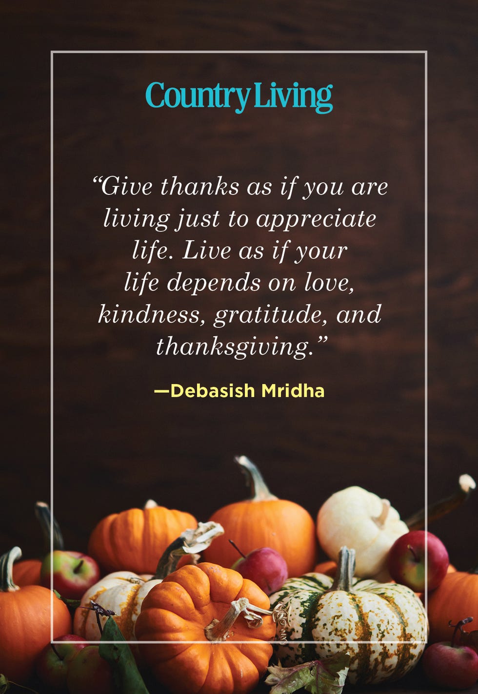 thanksgiving quote by debasish mridha surrounded by autumn pumpkins and apples