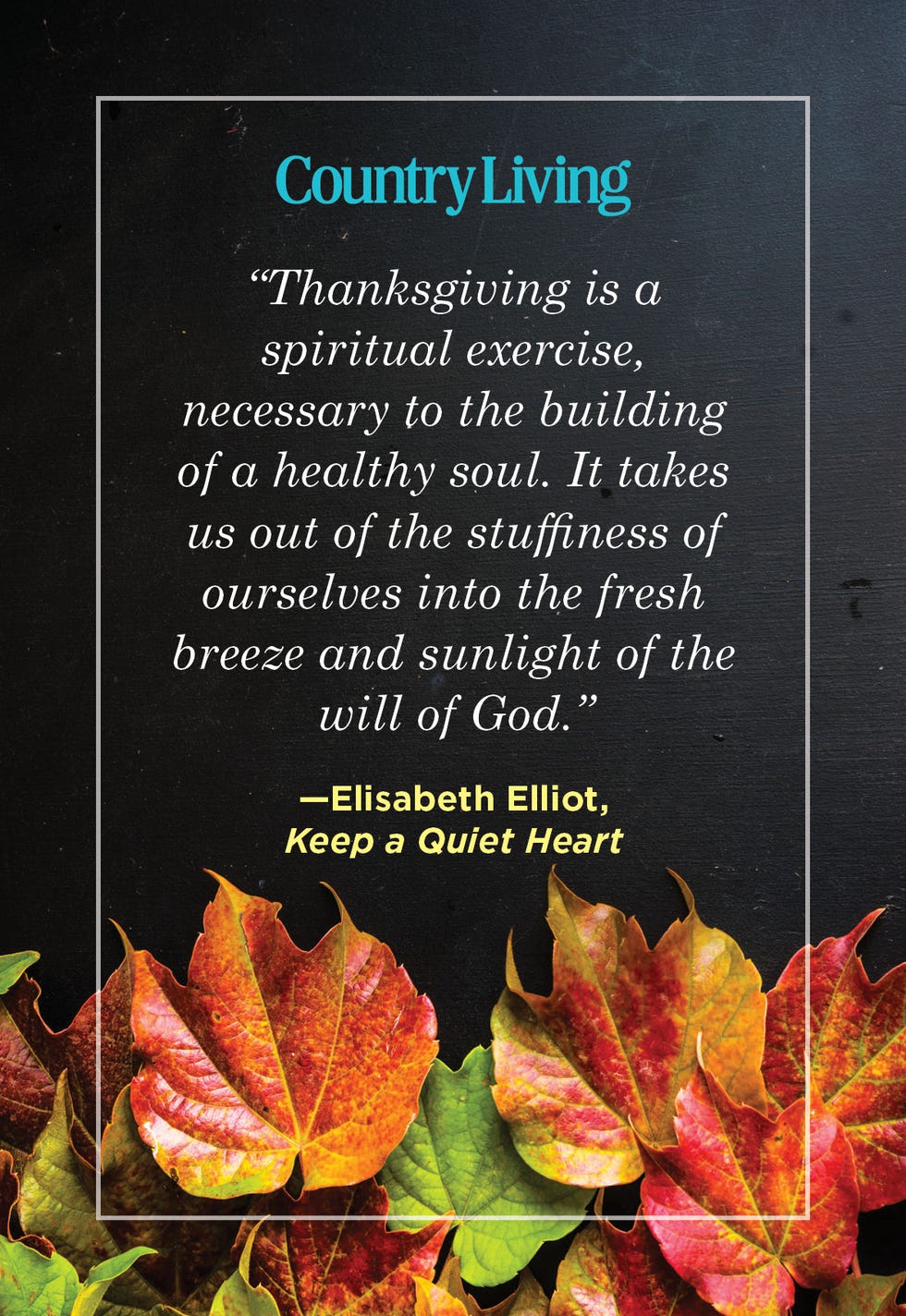 quote about thanksgiving from elisabeth elliot with autumn leaves