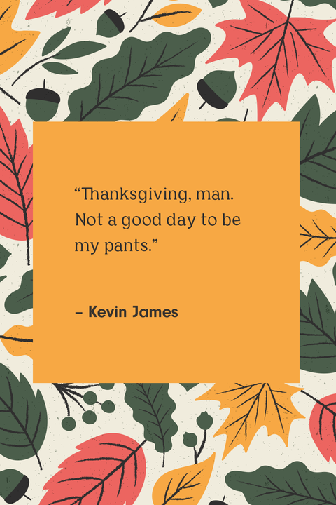 day after thanksgiving quotes