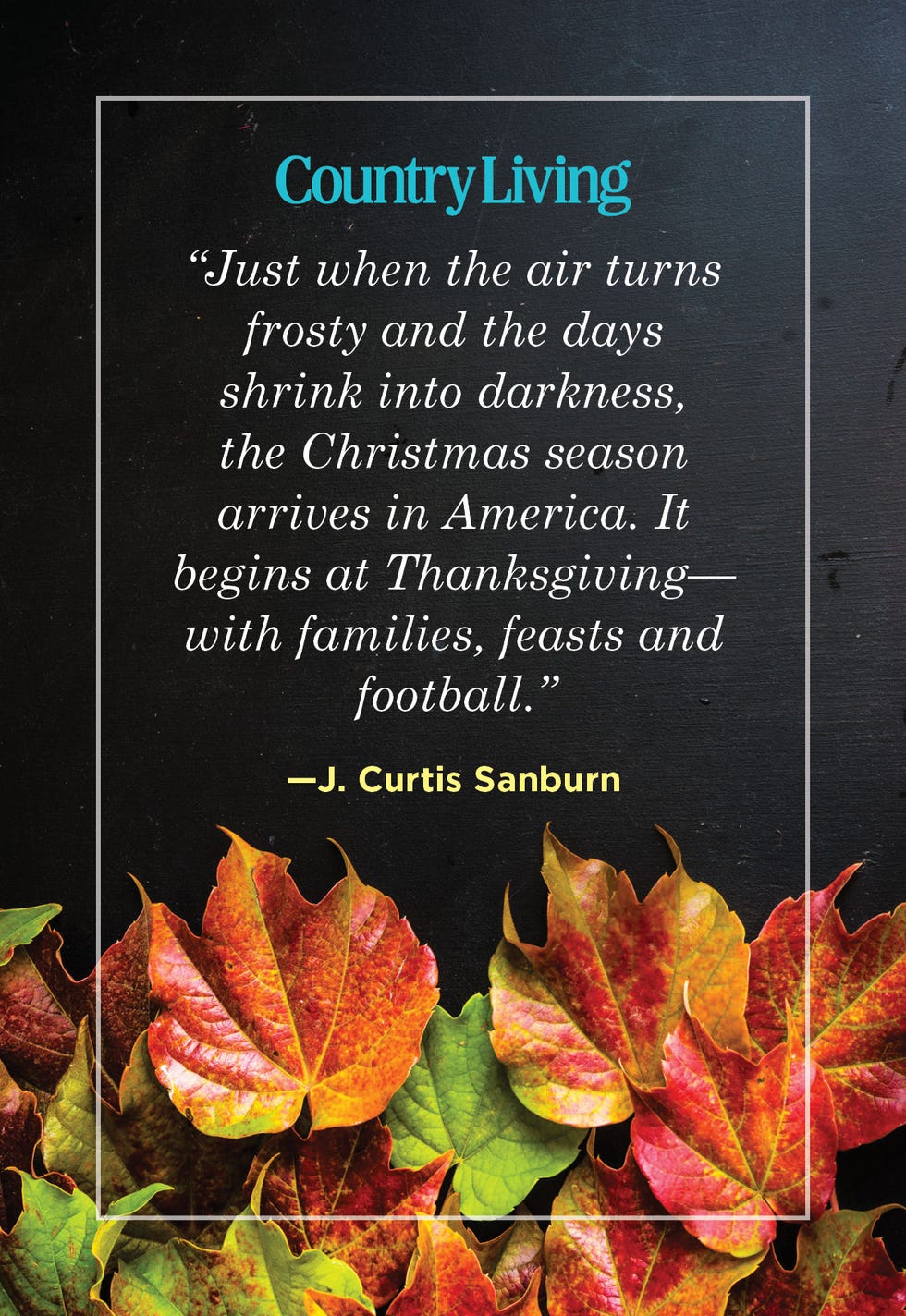 thanksgiving quote by j curtis sanburn on dark background with autumn leaves