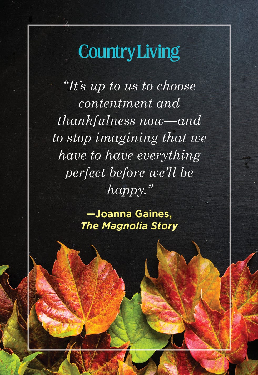 quote about contentment and thankfulness with a background of autumn leaves