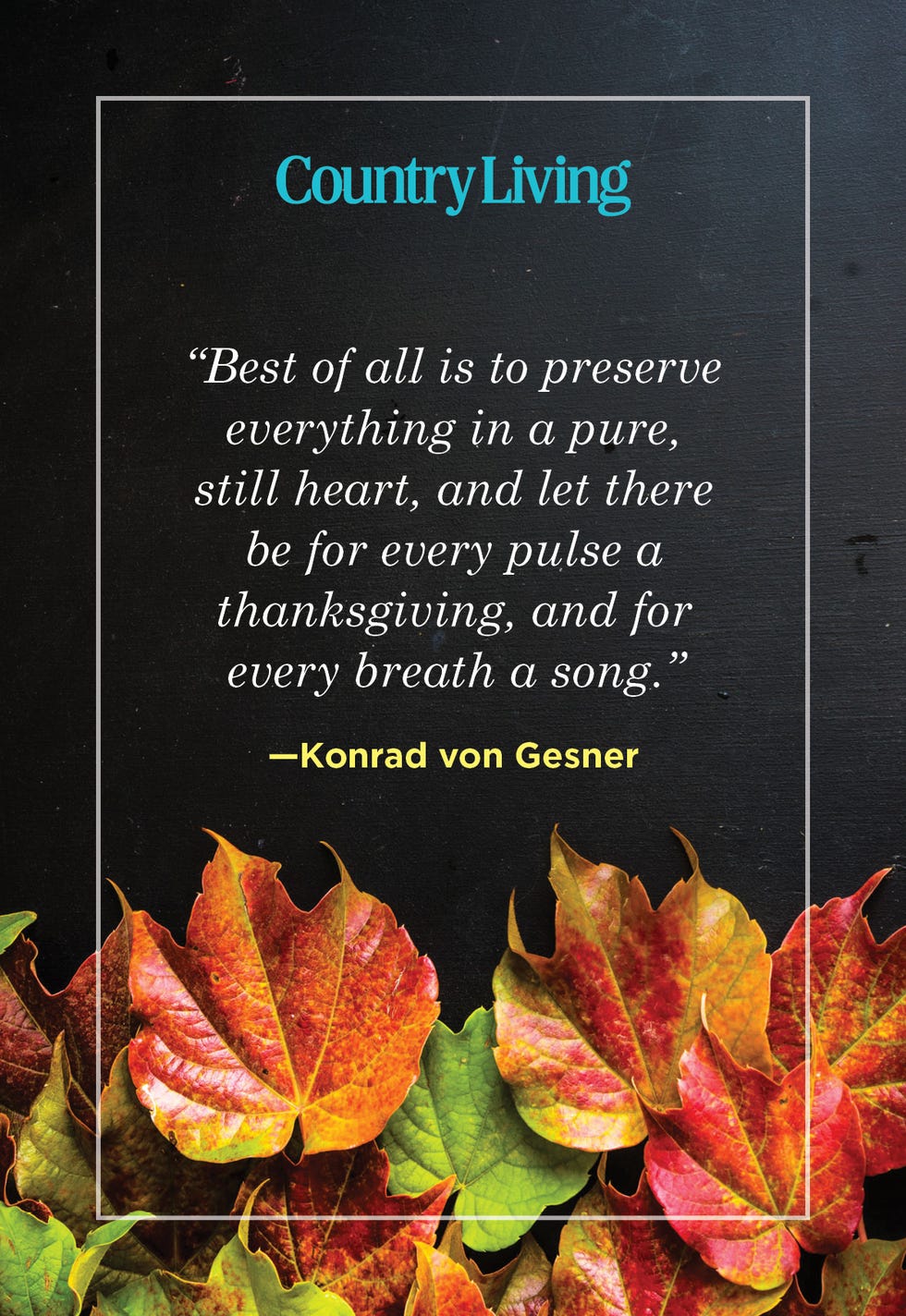 thanksgiving quote by konrad von gesner about gratitude and preservation over a background of autumn leaves