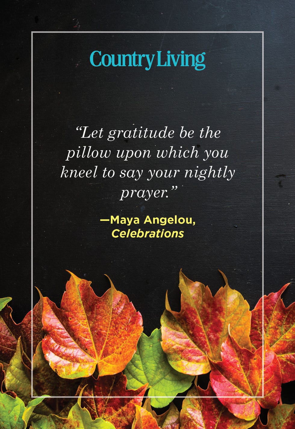 maya angelou thanksgiving quote on dark background with autumn leaves