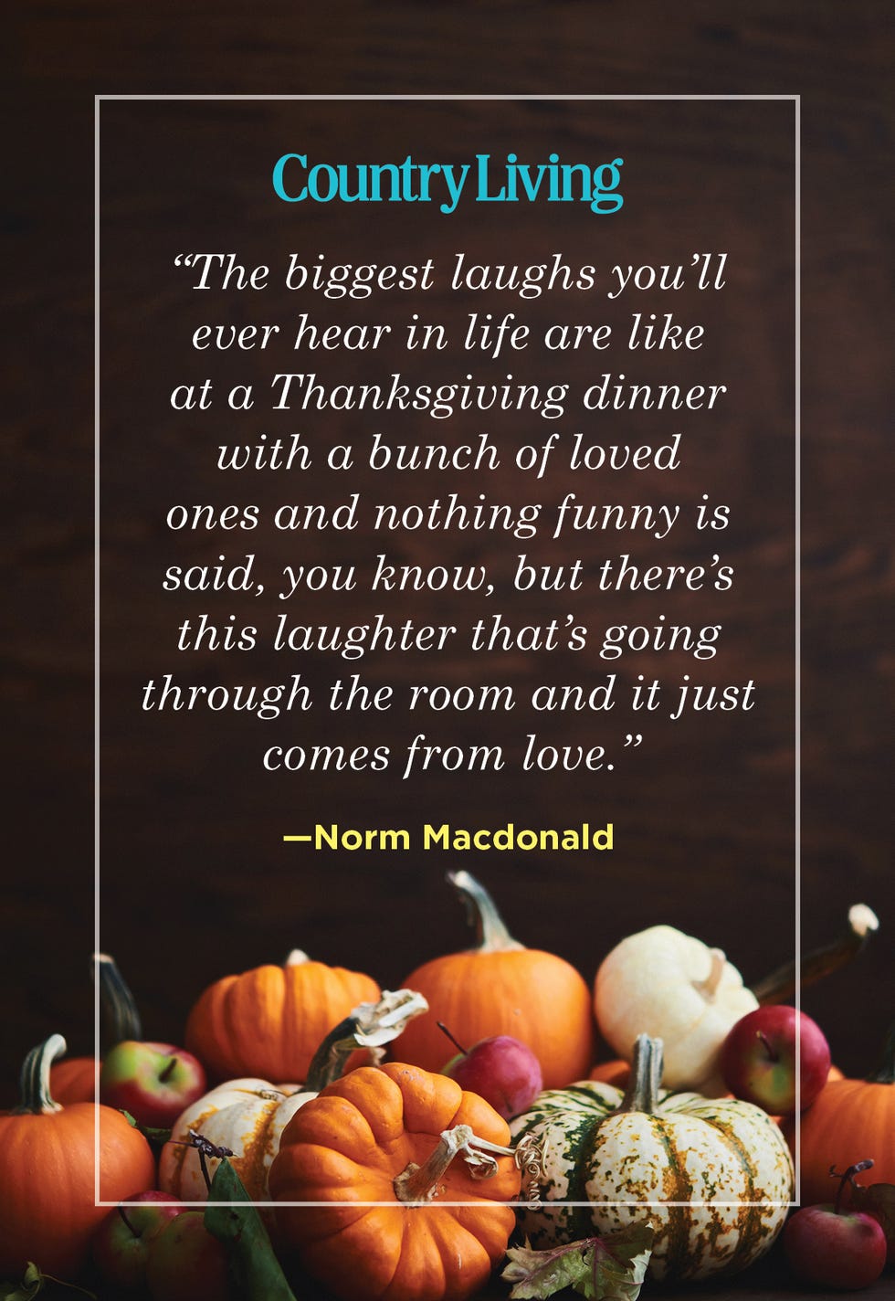 norm macdonald quote about laughter at thanksgiving with decorative pumpkins