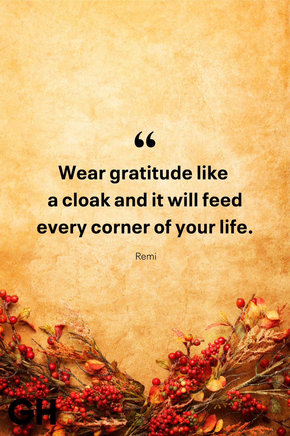 wear gratitude like a cloak and it will feed every corner of your life remi