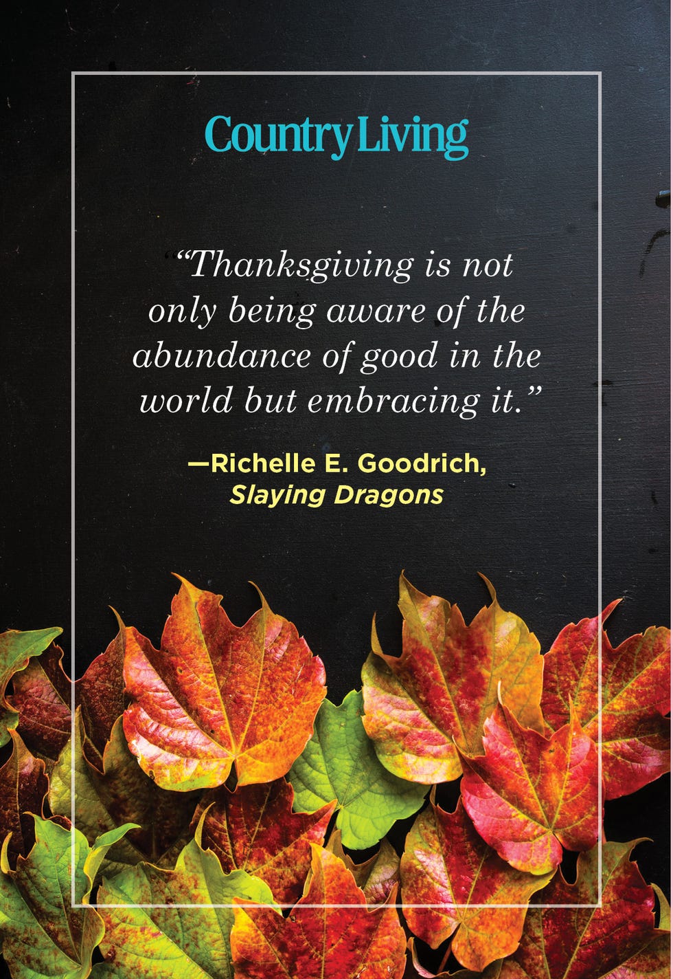 thanksgiving quote by richelle e goodrich on fall themed background with autumn leaves