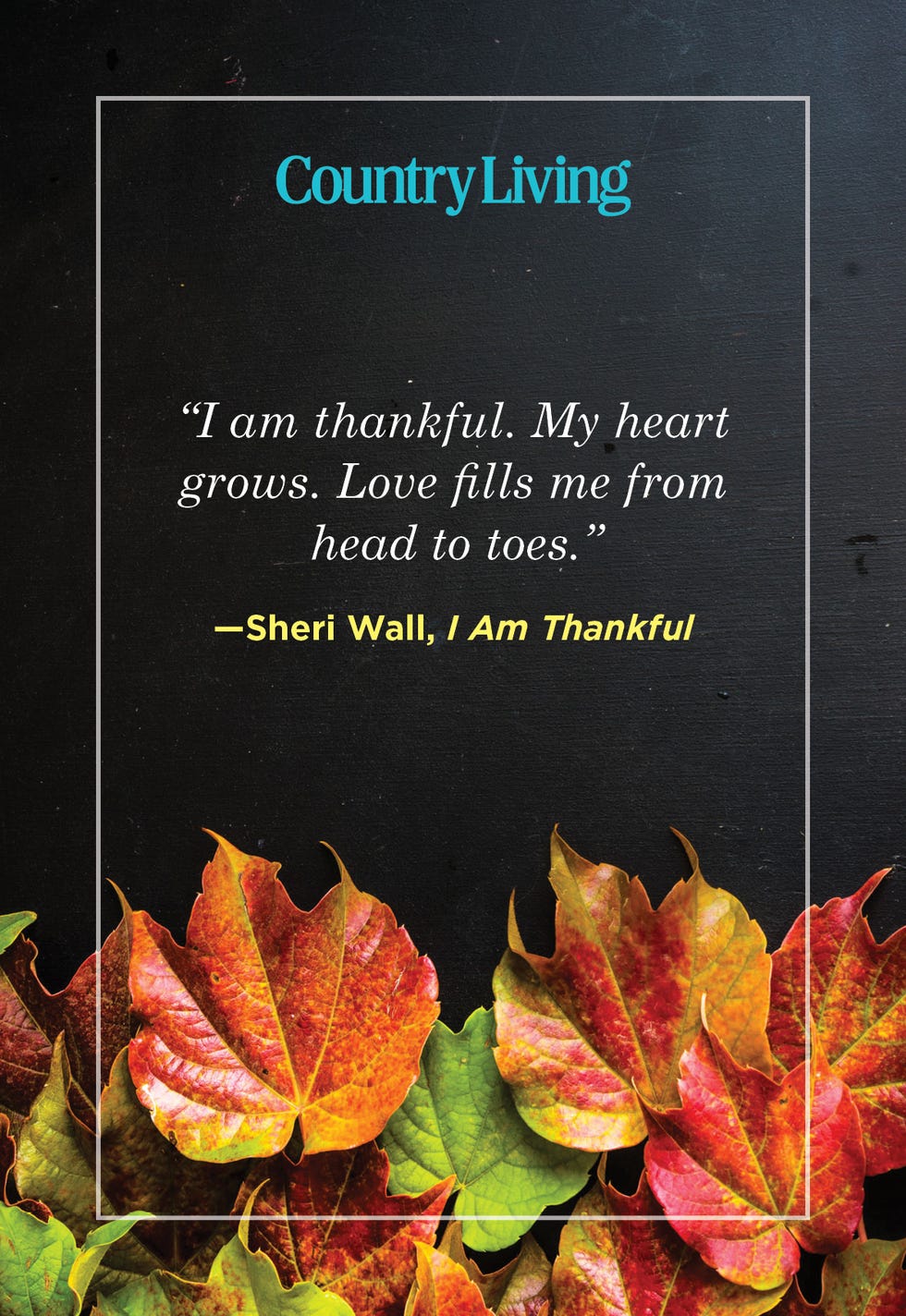 thanksgiving quote from i am thankful by sheri wall on dark background with autumn leaves