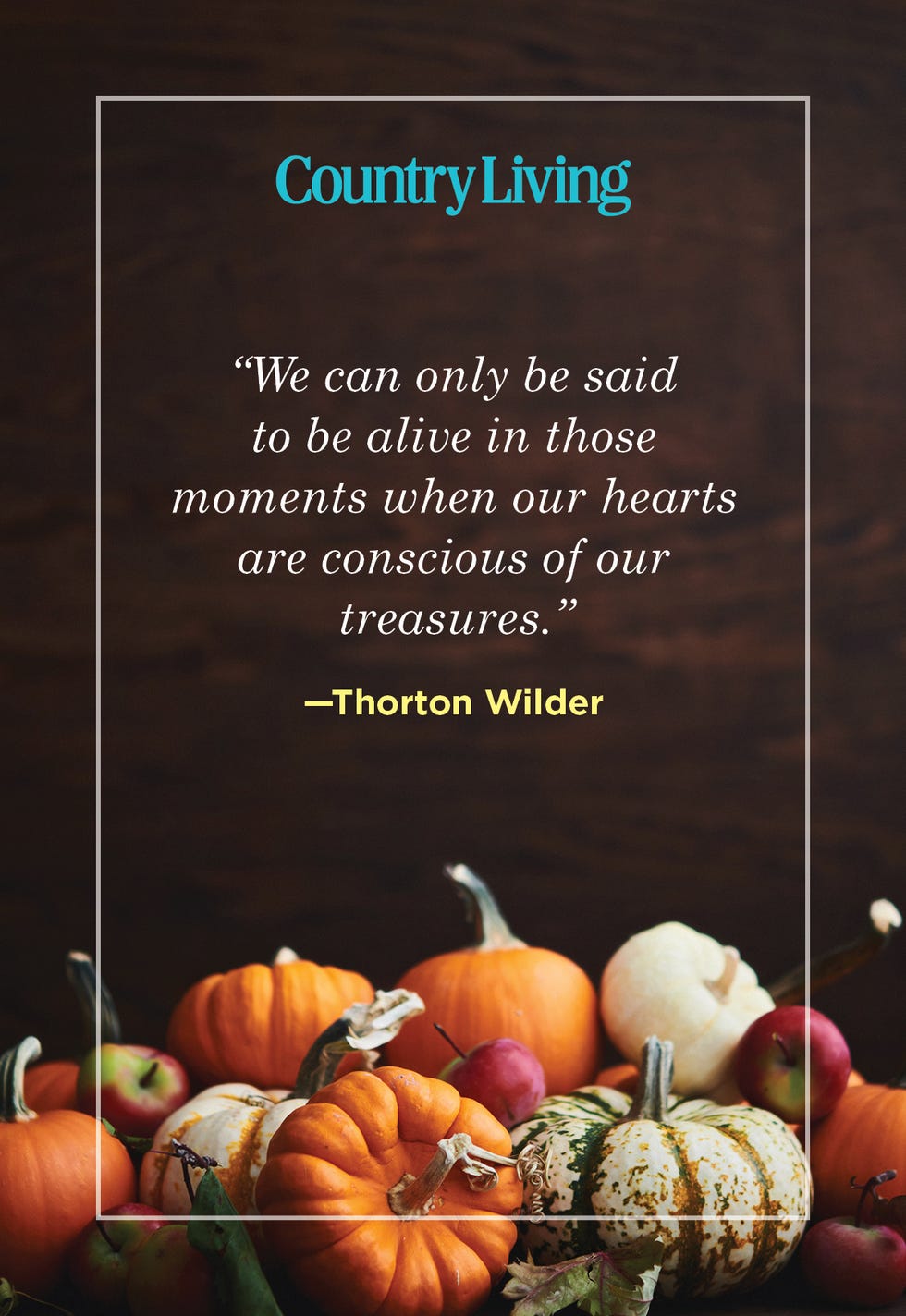 thanksgiving quote by thorton wilder