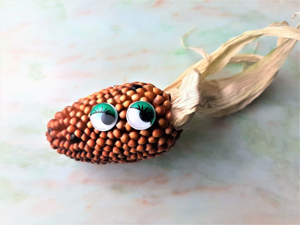dry corn cob decorated with two googly eyes to look like a face and husk styled as hair