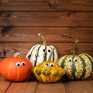 assorted thanksgiving gourds with google eyes huddled together