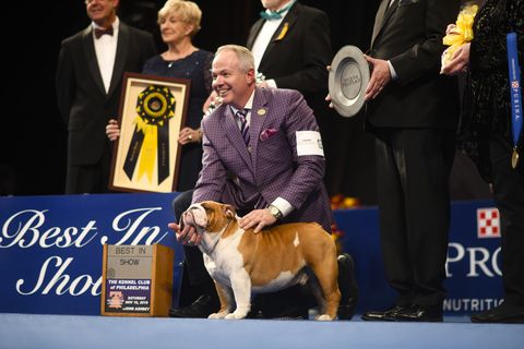 thanksgiving traditions national dog show