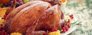 Thanksgiving Turkey dinner