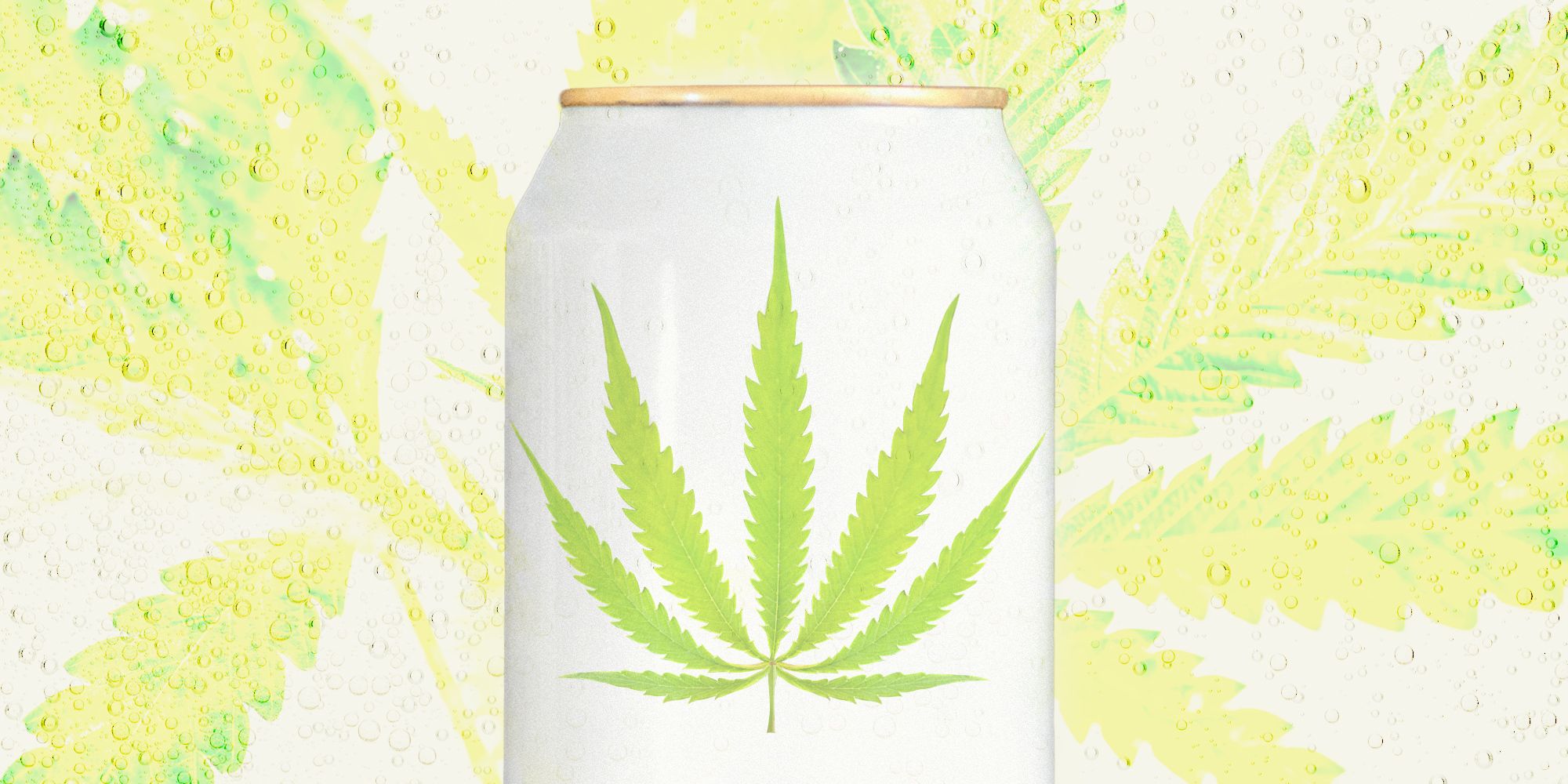 What's the Difference - THC, CBD, and Hemp in Beverages