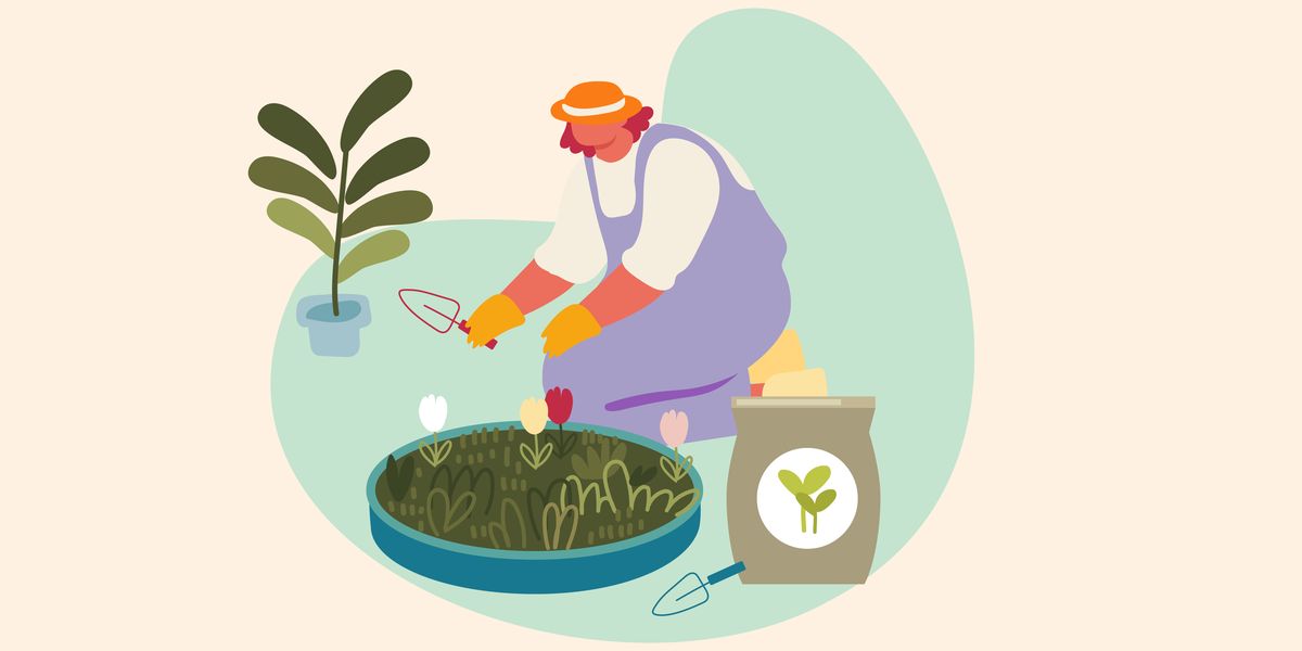 the 10 best fertilizers for your houseplants and garden