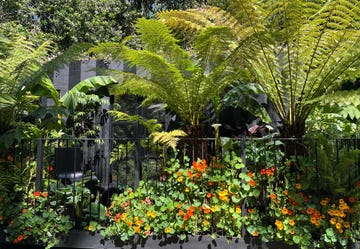 balcony garden