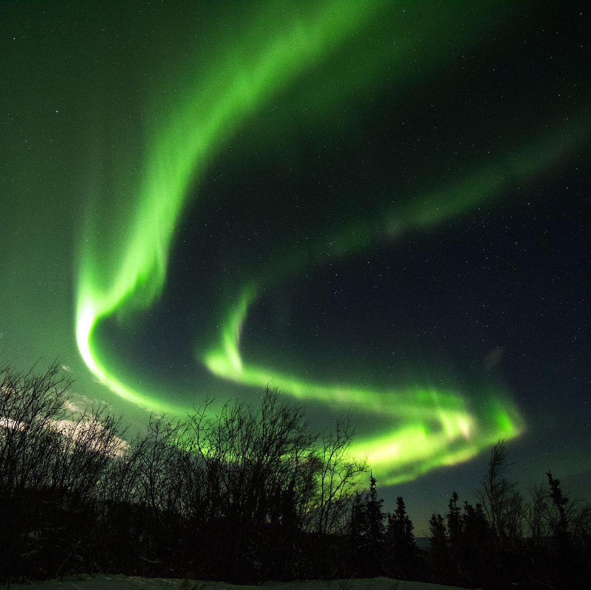 https://hips.hearstapps.com/hmg-prod/images/the-aurora-borealis-appears-in-the-sky-on-january-8-2017-news-photo-1677071053.jpg?crop=0.668xw:1.00xh;0.167xw,0&resize=1200:*