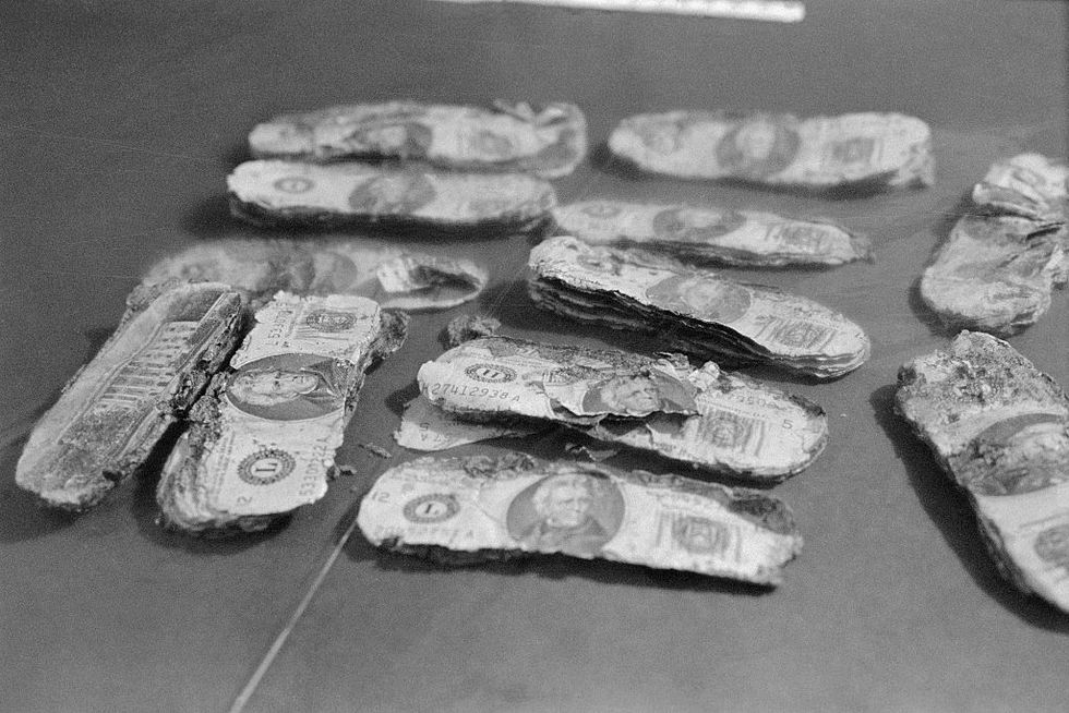 several stacks of partially decomposed $20 dollar bills lying on a table