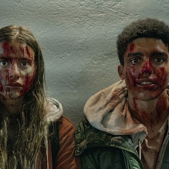 Half Bad: The Bastard Son & The Devil Himself' Canceled at Netflix; Won't  Return for Season 2 - What's on Netflix