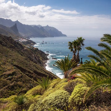 costa de tenerife