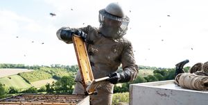 the beekeeper pelicula prime video