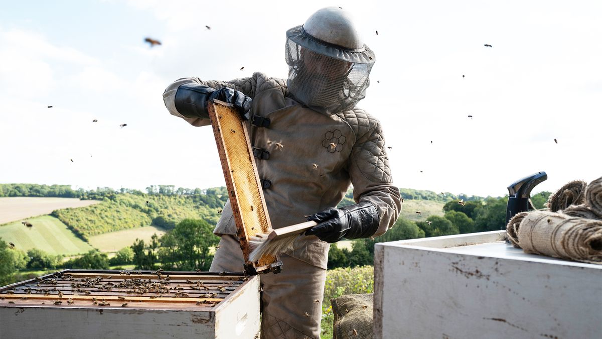 preview for 'Beekeeper: El protector' | Tráiler con Jason Statham, el rey de la colmena
