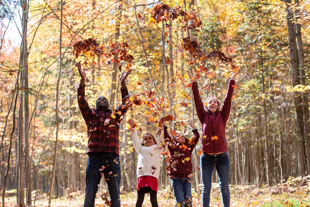 61-best-fall-activities-near-me-things-to-do-in-the-fall