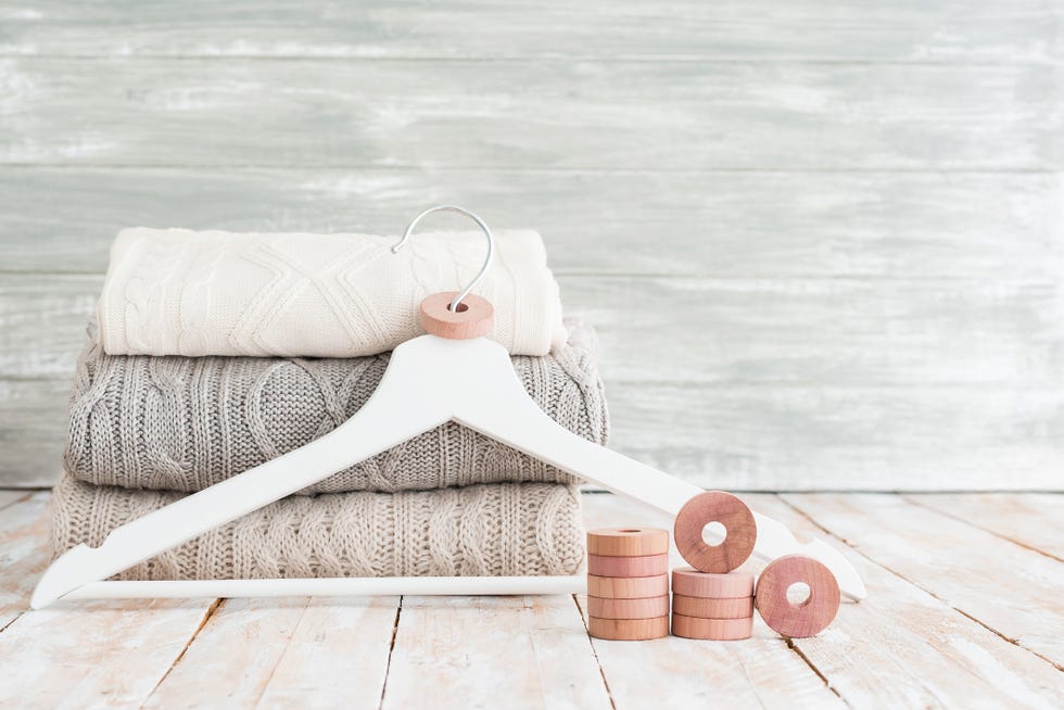 the best pest advice clothes moths