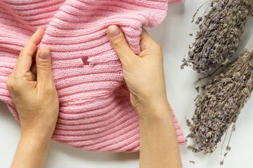 the best pest advice clothes moths