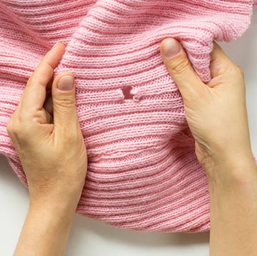 The best pest advice clothes moths the best pest advice clothes moths