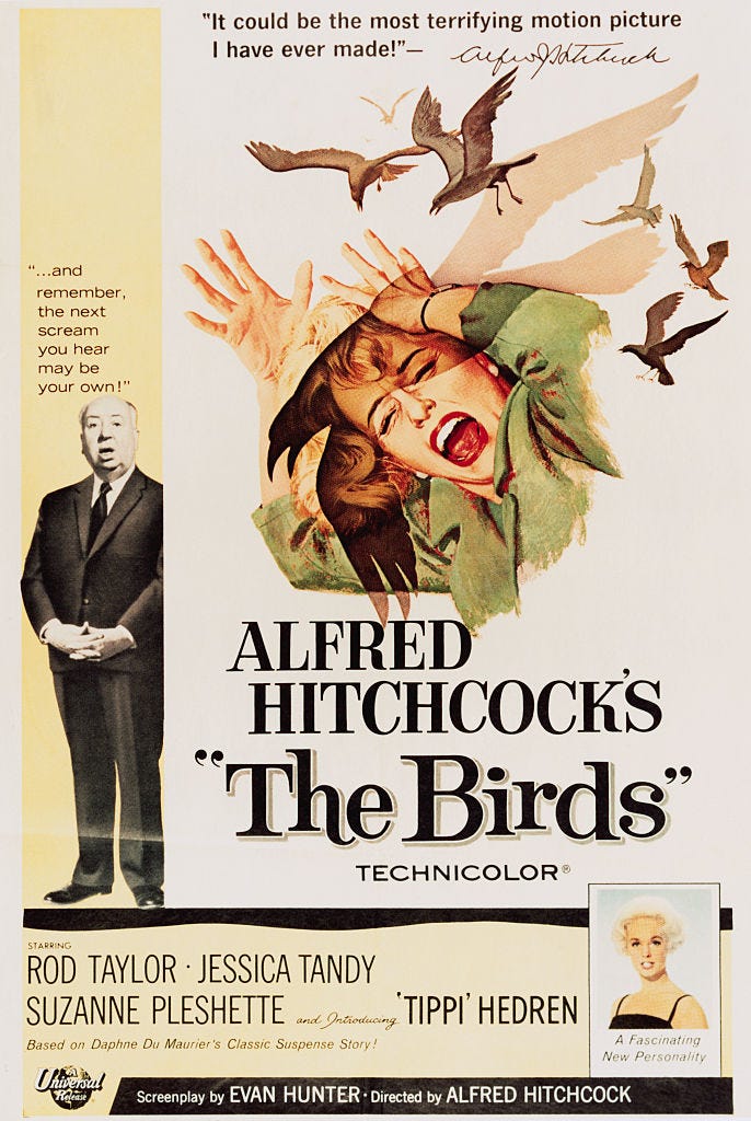 bird movie poster