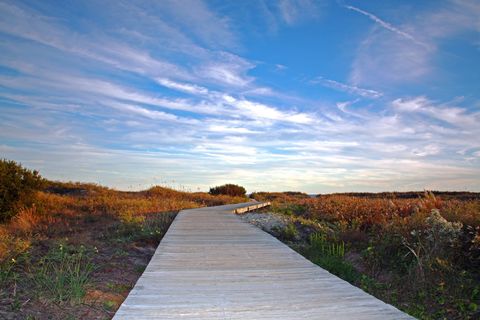 boardwalk under blue sky leading through marshy area