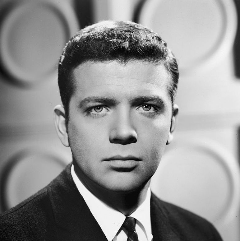 "The Brady Bunch" Robert Reed "The Defenders" Early Career