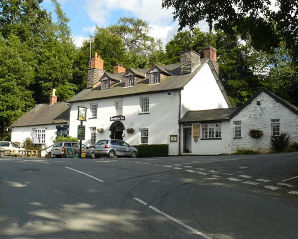 Best dog friendly pubs