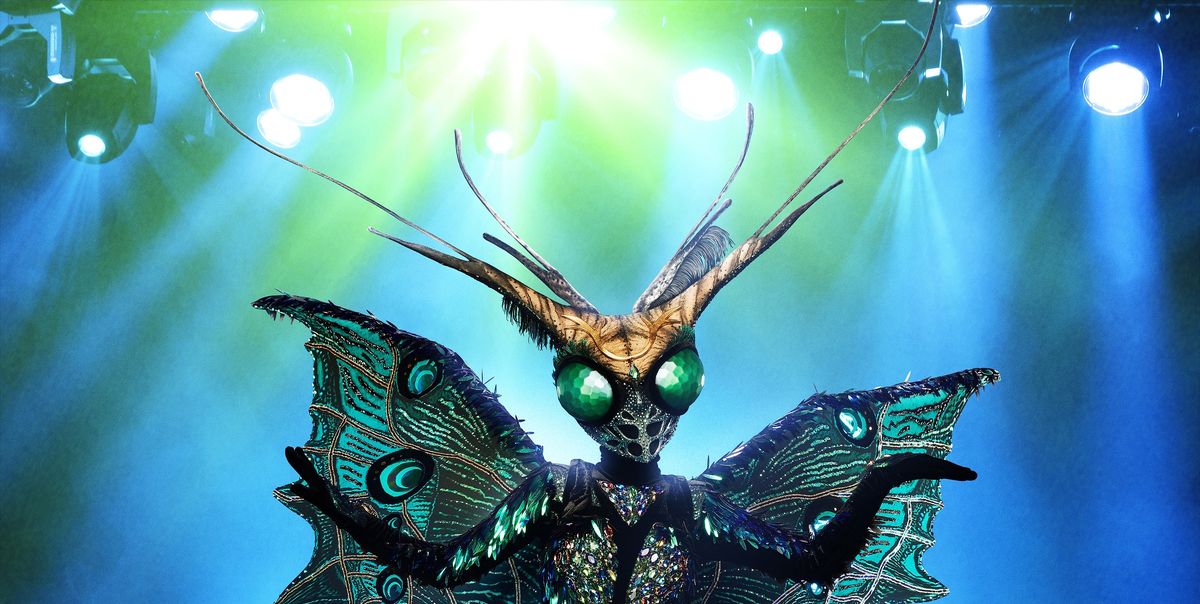 Песня мотылька из маски. The masked Singer бабочка. Маска "бабочка". Шоу маска мотылек. Костюм бабочки шоу маска.