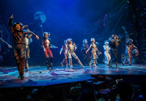 The First-Ever Revival of Andrew Lloyd Webber's Iconic CATS Opens on Broadway