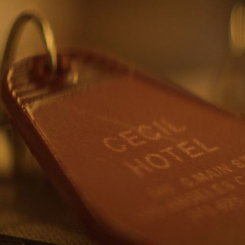 netflix 'crime scene the vanishing at the cecil hotel'