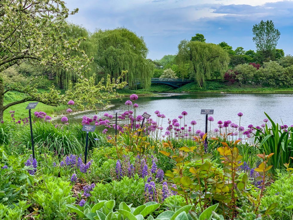 Chicago Botanical Garden