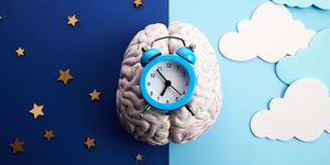 the circadian rhythms are controlled by circadian clocks or biological clock