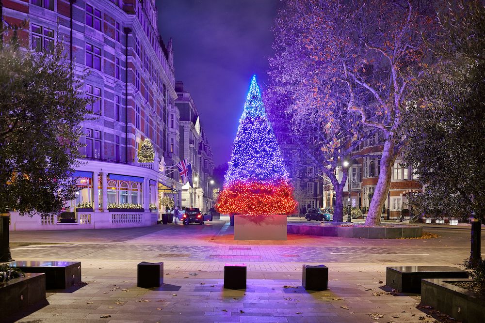 Connaught Hotel Christmas tree photo