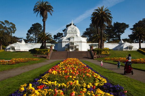 san francisco conservatory of flowers