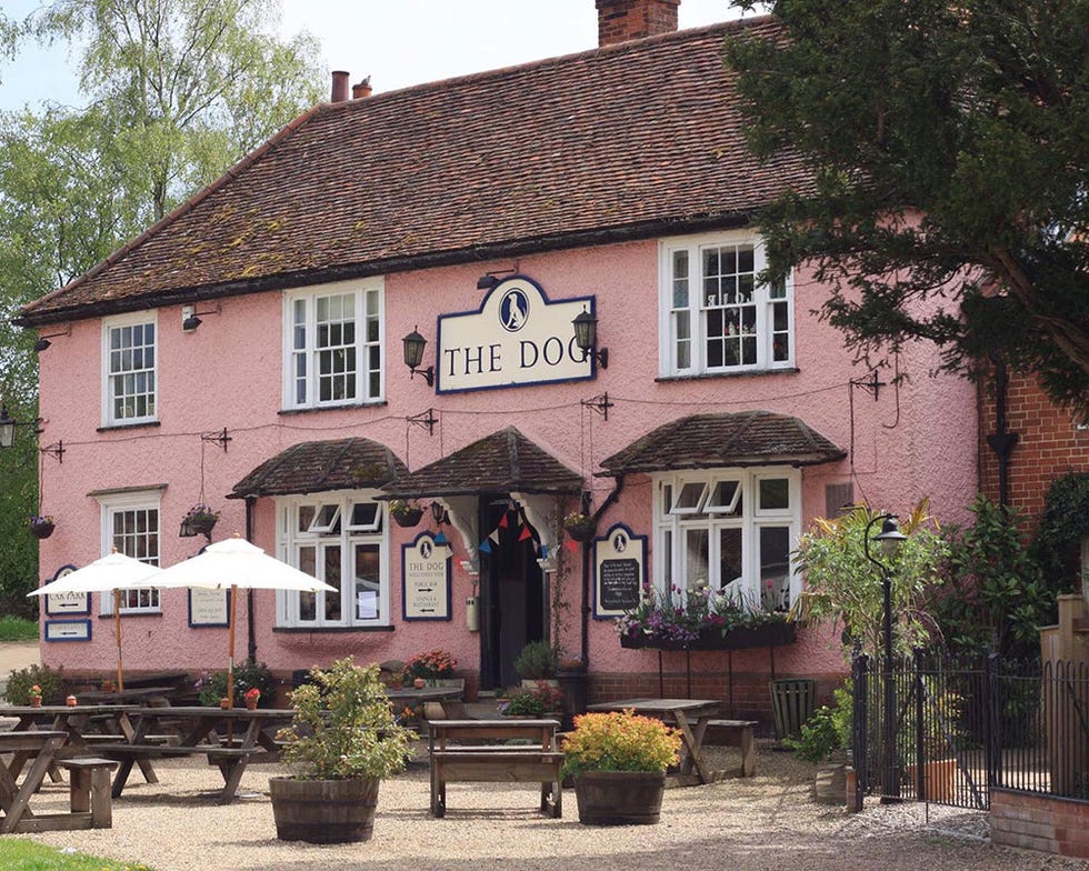 Best dog friendly pubs