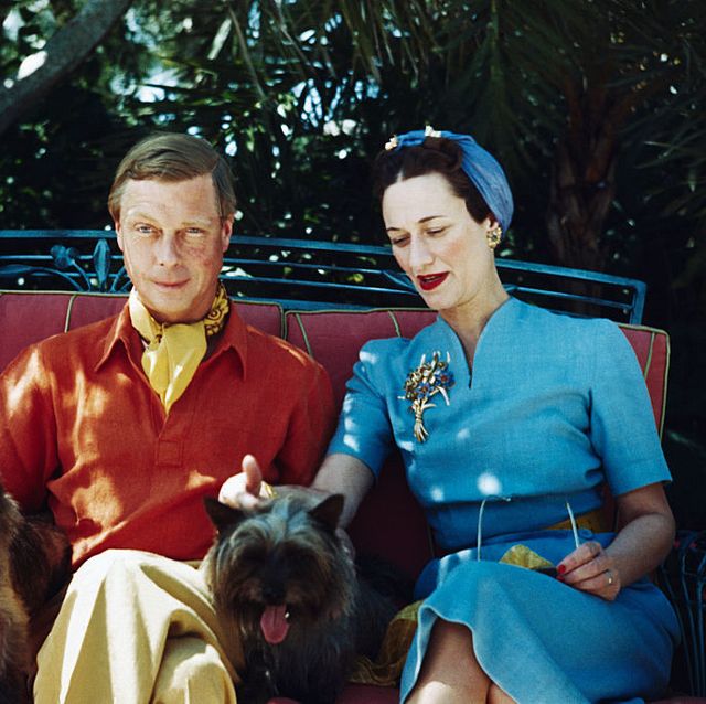 duke and duchess of windsor with dogs