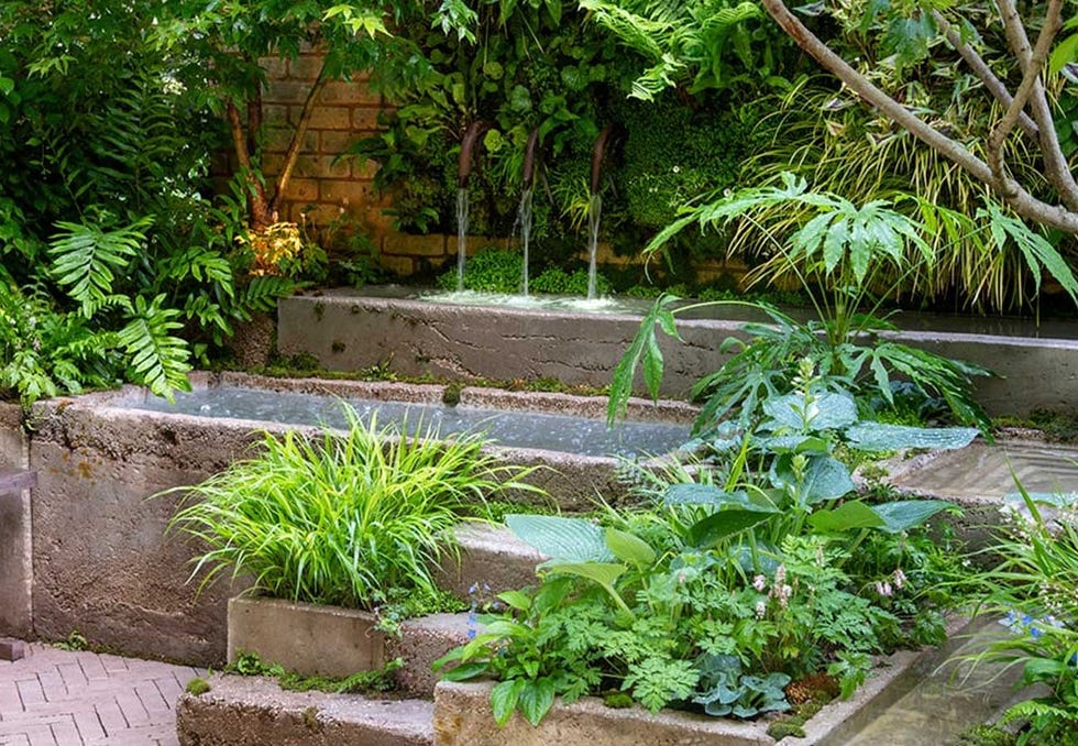 chelsea flower show winners