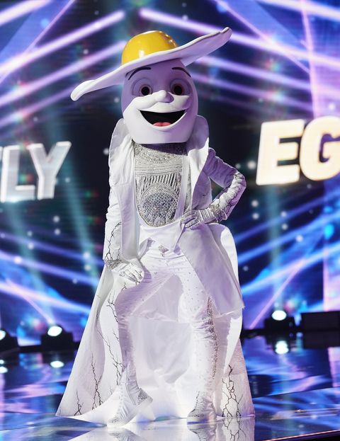 the masked singer rules