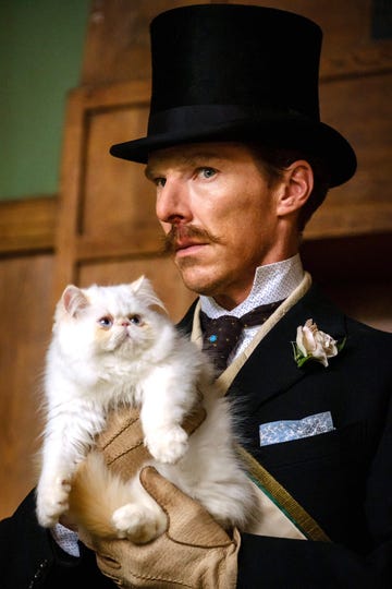 the electrical life of louis wain doctor strange benedict cumberbatch