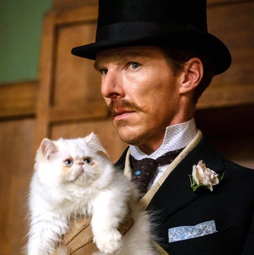 The Electrical Life of Louis Wain Doctor Strange Benedict Cumberbatch the electrical life of louis wain doctor strange benedict cumberbatch