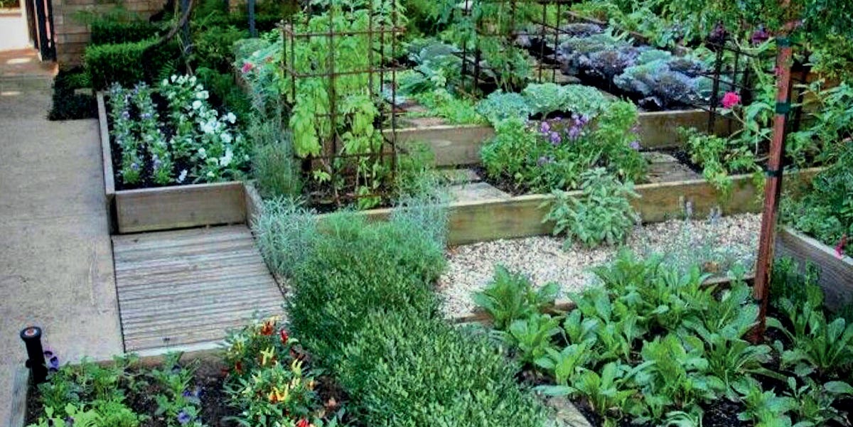 HERB GARDEN  - cover